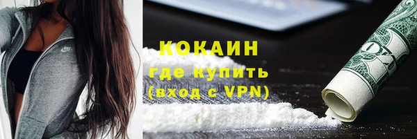 ГАЛЛЮЦИНОГЕННЫЕ ГРИБЫ Верея