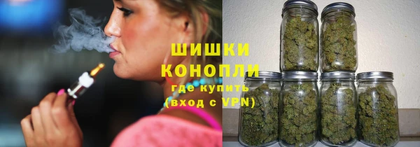 стаф Богородицк