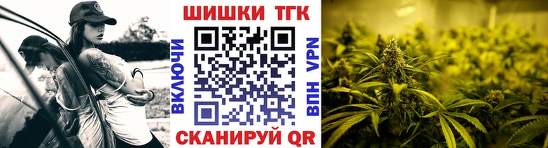 Каннабис сатива  это наркотические препараты  Гаджиево  купить  сайты 